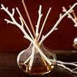Lot 26 Alchemy Collection Home Fragrance Diffusers - Vase, Sticks & Fragrances