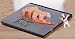 Kitchen & Housewares : Salter Nutritional Dietary Scale