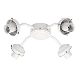 Hunter 4-Light White Light Fitter 22528