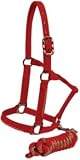 Mustang Bronz Nylon Halter with Lead Blue