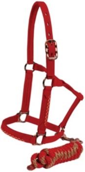 Mustang Bronz Nylon Halter with Lead Blue