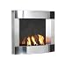 Southern Enterprises Stainless Steel Wall Mount Gel Fireplace