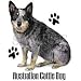 Australian Cattle Dog Adult Long Sleeve T-Shirt
