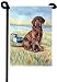 labrador42 - Chocolate Labrador Garden Flags