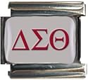 Delta Sigma Theta Charm