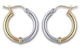14kt Two-Tone Gold High Polish Hoop Earrings