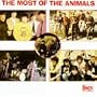 Most of the Animals - Australian Tracks