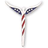 The Perfect 14K White Gold American Angel Pin