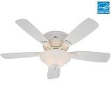 Hunter 23910 Low Profile Plus 48-Inch 5-Blade Single Light Ceiling Fan, White with Bleached Oak/White Blades and Frosted Glass Bowl