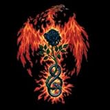 Noxity Fire of the Sages Tee