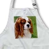 Cavalier King Charles Spaniels - BLACK Full Length Apron With Pockets 22w X 30l