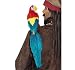 Parrot