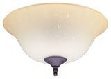 Review Hunter Fan Company  / Hunter Ceiling Fans 22324 Amber Gradated Bowl Light Kit Finials in Weathered Bronze & Antique Brass