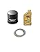 Triumph Oil Filter Kit