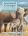 Animal Groups (Animal Behavior)