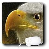 SmudgeArt Eagle Designs - The Guardian - Mouse Pads