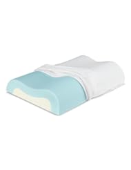 Sleep Innovations Cool Contour Memory Foam Pillow