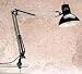 AMERICAN LIGHTING Clamp On Swing Arm Student Lamp