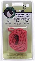 C NYL RABBIT HARNESS&LEAD RED