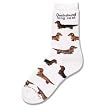 For Bare Feet Long Haired Dachshund Poses Dogs Socks