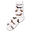 For Bare Feet Long Haired Dachshund Poses Dogs Socks