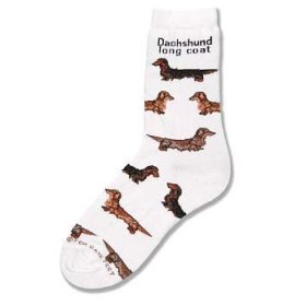 Buy For Bare Feet Long Haired Dachshund Poses Dogs Socks by For Bare Feet
