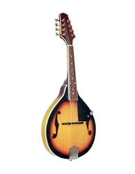 CSD-10 A-Style Mandolin, Sunburst, Free Shipping
