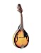 CSD-10 A-Style Mandolin, Sunburst, Free Shipping