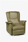 NexIdea NexChair LUXE1-OBUS FORME OLIVE 3 Position Lift Chair