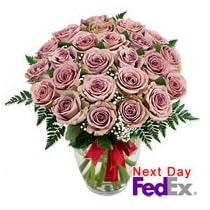 Roses - Angelic