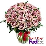 Roses - Angelic