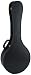 Flightform 2920V Tenor Banjo Case 14-inch Resonator