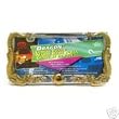 Chrome Gold Dragon Car Truck SUV License Plate Frame