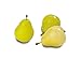 FloraCraft 9 Piece Decorative Mini Fruit Yellow/Green Pear