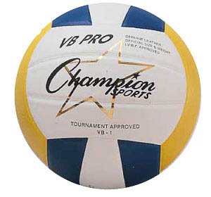 Champion Sports VB Official USA Pro Series Leather Volleyball