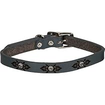 PETCO Lasered Leather Dog Collar