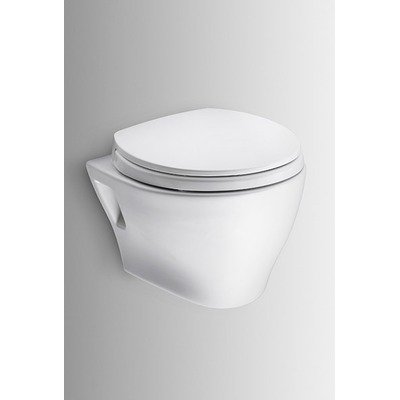 thanksgiving Toto CWT418MFG 1No 01 Wall Hung In Wall System 1 6 GPFB004XLRSKW