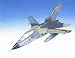 Search : Daron Worldwide Trading ESFN037 Luftwaffe Tornado 1/48 AIRCRAFT