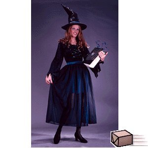 Velvet Storybook Witch Costume (Women's Adult Medium Large 8 - 14) Velvet Storybook Witch Costume (Women's Adult Medium Large 8 - 14)