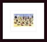 31Td7VJz3bL. SL160  Cacti & Desert Flora by Vintage 10.00X8.00 Framed with Black Wood Frame