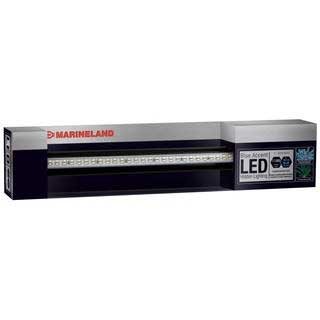 Led System Accent Lighting Blue 17 By BND Led System Accent Lighting Blue 17 By BND