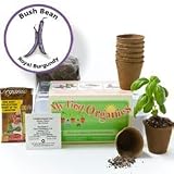 Royal Burgundy Bush Bean Organic Seed Starting Kit