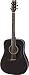 Musical Instruments : Washburn D10 Series Acoustic