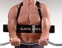 Golds Gym Biceps Isolator