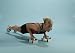Stroops Push-Up Bars