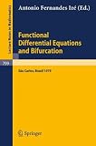 Functional Differential Equations and Bifurcation: Proceedings of a Conference, Held at Sao Carlos, Brazil, July 2-7, 1979 (Lecture Notes in Mathematics) Ize