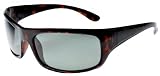 Hilton Bay Polarized Sunglasses Classic P09