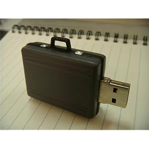 2GB Briefcase USB Drive - Perfect Teacher's Gift!! by Cool Cube Toys