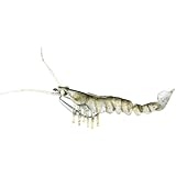 Savage Gear TPE 3D Shrimp Sinking Fishing Lure