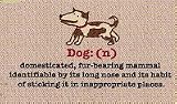 Dog: (n) Definition Durable Funny Indoor Outdoor Doormat